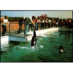 Esbjerg - Fodring i S�lariet - Fiskeri og S�fartsmuseet - u/n - Ubrugt