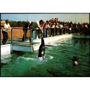 Esbjerg - Fodring i S�lariet - Fiskeri og S�fartsmuseet - u/n - Ubrugt