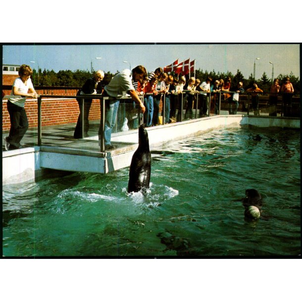 Esbjerg - Fodring i S�lariet - Fiskeri og S�fartsmuseet - u/n - Ubrugt