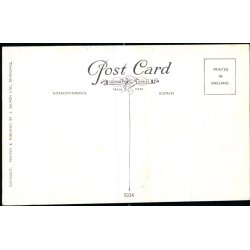 S.S. Nieuw Amsterdam - Salmon 5024 - Ubrugt