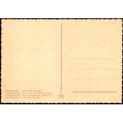 Kbenhavn - Vesterbros Passage - Krger 989/20