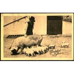 Gldeligt Nytaar - Alex Vincent 702 - Brugt