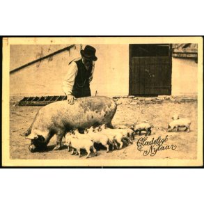 Gldeligt Nytaar - Alex Vincent 702 - Brugt