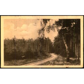 Fra Tisvilde Hegn - E. Ramlaus Bogh. u/n - Brugt