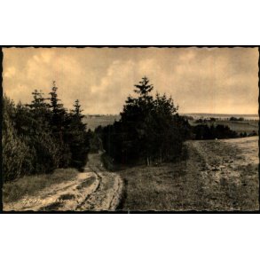 Tibirke Bakker - Rudolf Olsen 8554 - Ubrugt