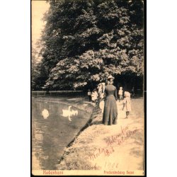 Kbenhavn - Frederiksberg Have - Alex Vincent 334 - Brugt