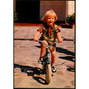 Prins Willem Alexander - Spangersberg 243 - Ubrugt