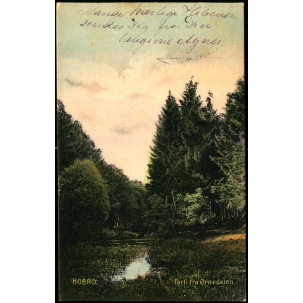Hobro - Parti fra rnedalen - C. St. 4780