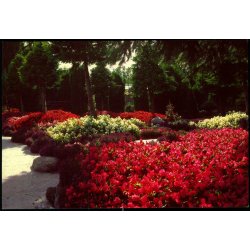 Jesperhus Blomsterpark - 8510 - Ubrugt