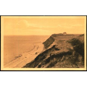 Parti fra Tisvilde Strand - Stender  46065 - Ubrugt