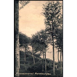 Sindalsbakkerne - Marselisborg Skov - Alex Vincent 3143 - Ubrugt