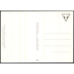 Fuglevad vindmlle - Frilandsmuseet - Grnlund 9926 - Ubrugt