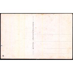 Horsens - Statsf�ngslet - Stender H. 207 - Ubrugt