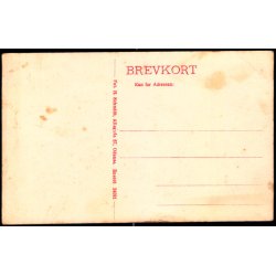 Fyens Forsamlingshus - Odense - H. Schmidt 24591 - Ubrugt