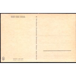 Faaborg - Holkegade - K. Witt-M�ller 6700- 228 - Ubrugt