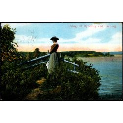 Udsigt til Dyreborg ved Faaborg - Alex Vincent 83 - Brugt