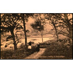 Bornholm - Lilleborg S - Almindingen - F. Srensens Bogh. 2254 - Ubrugt