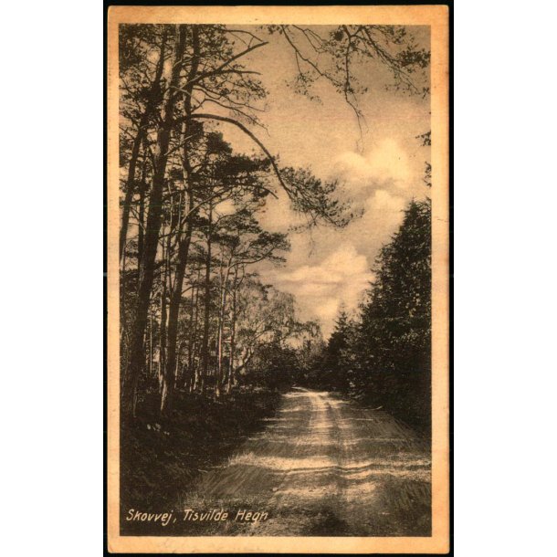 Skovvej - Tisvilde Hegn - K. Poulsens Bogh. u/n - Brugt