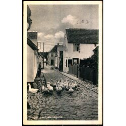 Drag�r - Van Ostensgade - Nielsens Bogh. 67126 - Brugt