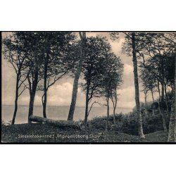 Sindalsbakkerne - Marselisborg Skov - Alex Vincent 3142 - Brugt