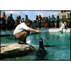 Esbjerg - Fodring i S�lariet - Fiskeri og S�fartsmuseet - u/n - Ubrugt