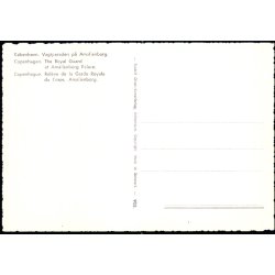 K�benhavn - Vagtparaden paa Amalienborg - Rudolf Olsen 905