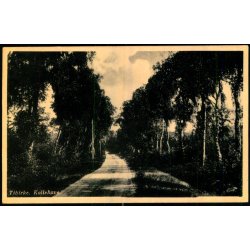 Tibirke Kallehave - Sandkroen 14610 - Ubrugt