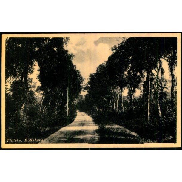 Tibirke Kallehave - Sandkroen 14610 - Ubrugt
