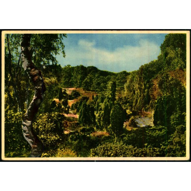 Tisvilde Hegn - Troldeskoven - Rudolf Olsen  356 - Brugt