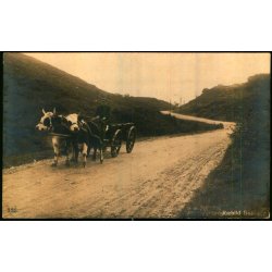 Rebild Bakker - H.A. Ebbesen Fotokort 235 - Brugt