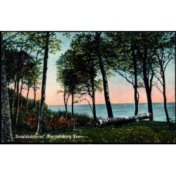 Sindalsbakkerne - Marselisborg Skov - Alex Vincent 94 - Ubrugt