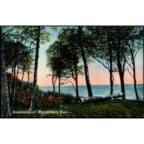 Sindalsbakkerne - Marselisborg Skov - Alex Vincent 94 - Ubrugt