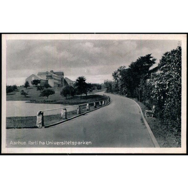 Aarhus - Parti fra Universitetparken - Stender �. 439 - Ubrugt