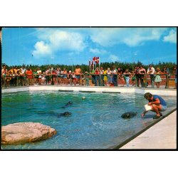 Fiskeri og S�fartsmuseet - Esbjerg - S�lariet - C.I.C. 844 - Brugt