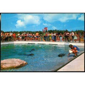 Fiskeri og S�fartsmuseet - Esbjerg - S�lariet - C.I.C. 844 - Brugt