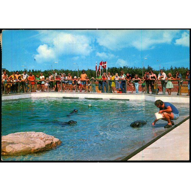 Fiskeri og S�fartsmuseet - Esbjerg - S�lariet - C.I.C. 844 - Brugt