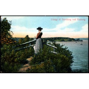 Udsigt til Dyreborg ved Faaborg - Alex Vincent 83 - Ubrugt