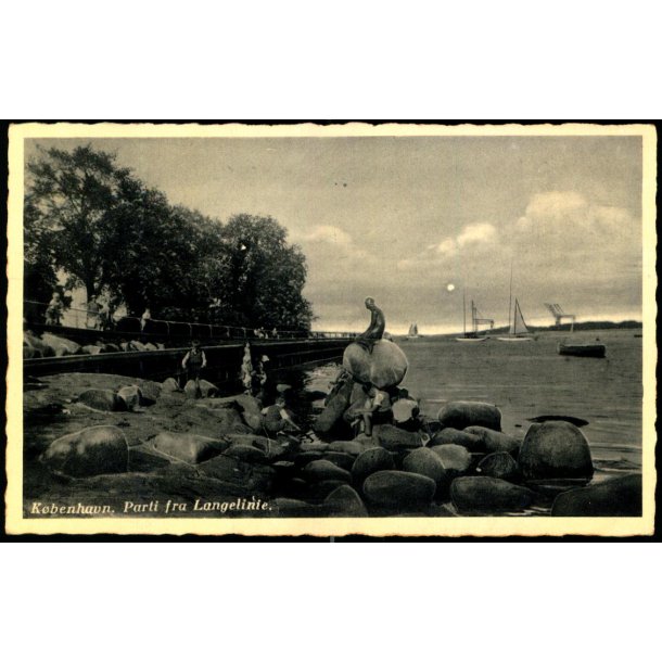  K�benhavn - Parti fra Langelinie - C.R. 3855