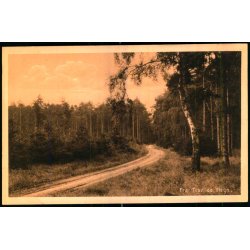 Fra Tisvilde Hegn - A. Jensens Bogh. 43407 - Ubrugt