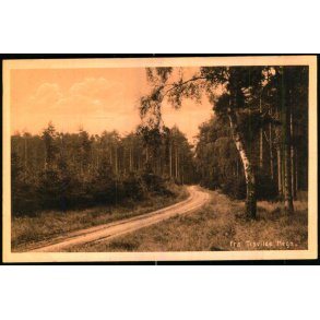 Fra Tisvilde Hegn - A. Jensens Bogh. 43407 - Ubrugt