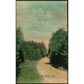 Fra Tisvilde Hegn - A. Jensens Bogh. u/n - Brugt