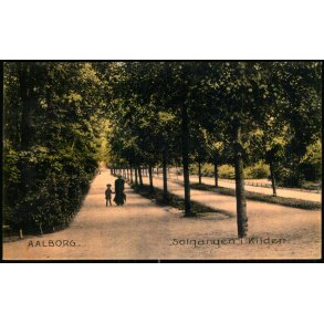 Aalborg - Solgangen i Kilden - Stender 875 - Brugt