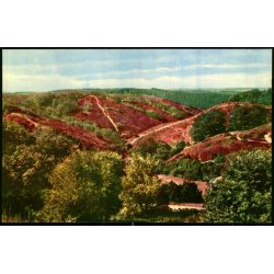 Rebild Bakker - Rudolf Olsen 482 - Ubrugt