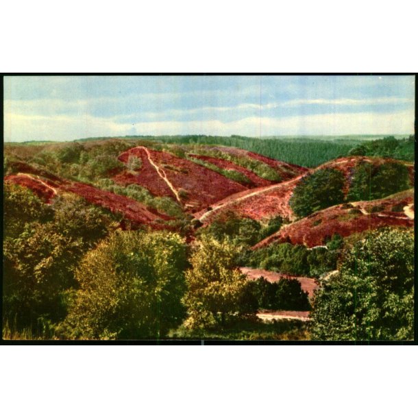 Rebild Bakker - Rudolf Olsen 482 - Ubrugt