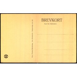 Skagen - Kryers Hus - Alex Vincent 578 - Ubrugt