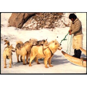 Qaanaaq - Thule - Grnland - Grnlandske Brn u/n - Brugt