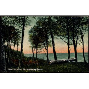 Sindalsbakkerne - Marselisborg Skov - Alex Vincent 94 - Ubrugt