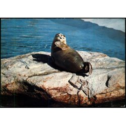 Esbjerg - S�lungen S�S - Fiskeri og S�fartsmuseet - u/n - Brugt