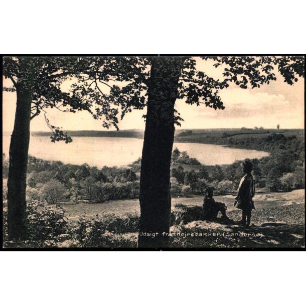 Udsigt fra Hejrebakken (Snders) - Stender 5981 - Brugt