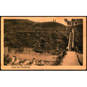 Parti ved Tisvildeleje - Alex Vincent 382